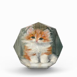 Meta Plückebaum  Schattige Kitten Schilderij Fotoblokken