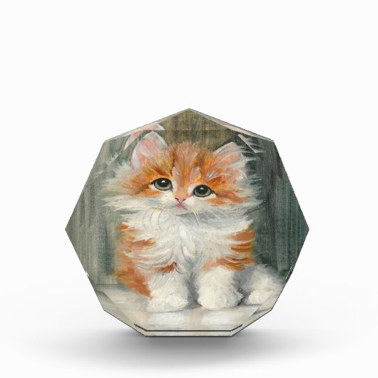 Meta Plückebaum Schattige Kitten Schilderij Fotoblokken (Voorkant)