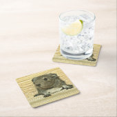 metaal kartonnen onderzetters (Insitu)