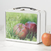 Metaalbox van schoolpsycholoog (In situ)