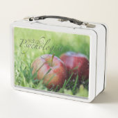 Metaalbox van schoolpsycholoog (Achterkant)