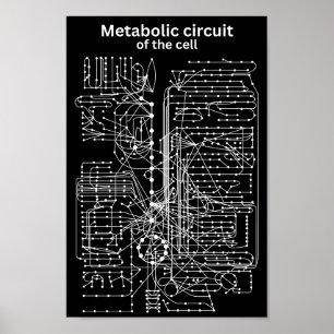 Metabole kring van de cel poster