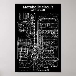 Metabole kring van de cel poster