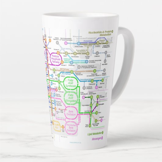 Metabole route latte mok (Rechterhoek)