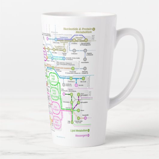 Metabole route latte mok (Rechts)