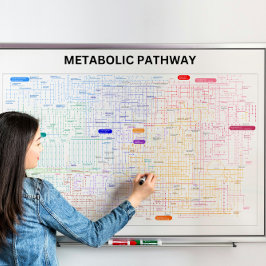 Metabole route van de cel poster