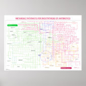Metabole route voor de synthese van antibiotica poster (Voorkant)