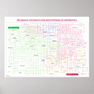 Metabole route voor de synthese van antibiotica poster