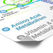 Metabole routeschema poster (Hoek)
