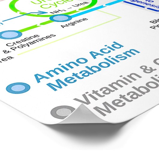 Metabole routeschema poster (Hoek)
