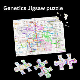 Metabole weg metrokaart legpuzzel