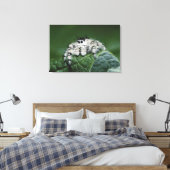 Metafid Jumping Spider Canvas Afdruk (Insitu (Slaapkamer))