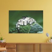 Metafid Jumping Spider Canvas Afdruk (Insitu (Woonkamer))