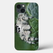 Metafid Jumping Spider Case-Mate iPhone Case (Achterkant)