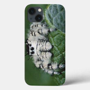 Metafid Jumping Spider Case-Mate iPhone Case