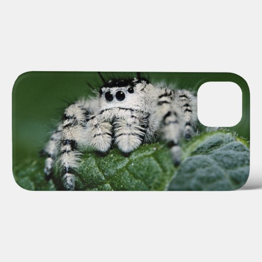 Metafid Jumping Spider Case-Mate iPhone Case (Achterkant (horizontaal))