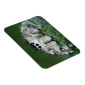 Metafid Jumping Spider Magneet (Rechterzijde)