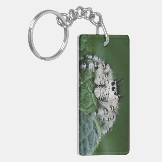 Metafid Jumping Spider Sleutelhanger (Voorkant Links)