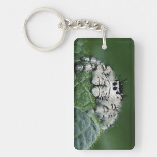 Metafid Jumping Spider Sleutelhanger