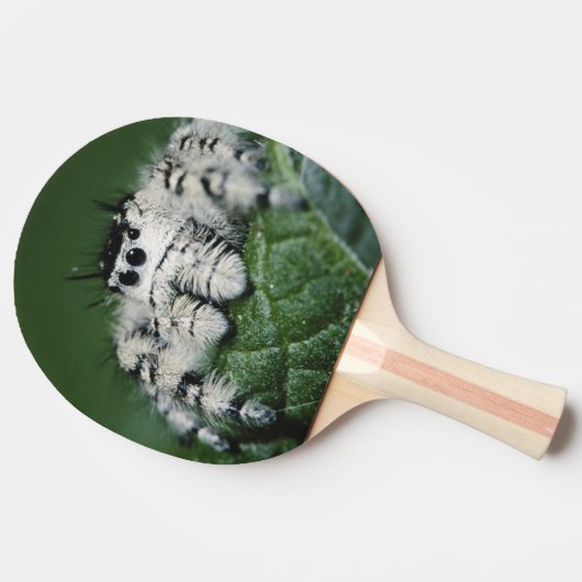 Metafid Jumping Spider Tafeltennisbatje (Zijkant)