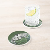 Metafid Jumping Spider Zandsteen Onderzetter (Zijkant)