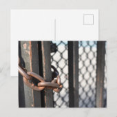 Metal Chain Link Fence Originele NYC Foto Briefkaart (Voorkant / Achterkant)