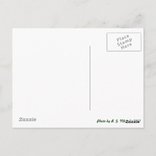 Metal Dragonfly Briefkaart (Achterkant)