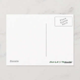 Metal Dragonfly Briefkaart