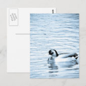 Metal Duck Briefkaart (Voorkant / Achterkant)
