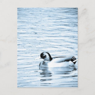Metal Duck Briefkaart