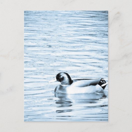 Metal Duck Briefkaart (Voorkant)