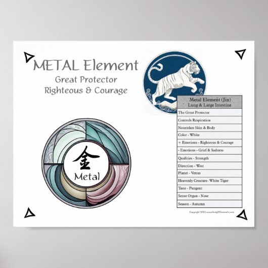 Metal Element Acupuncture Poster (Voorkant)