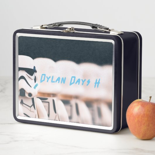 Metal Lunch Box (In situ)