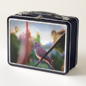 Metal Lunchbox | Morning Dove | Klassiek ontwerp (Voorkant)