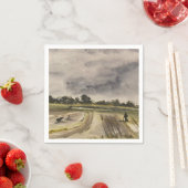 Metalen detecteren in de velden 2 servet (Insitu)