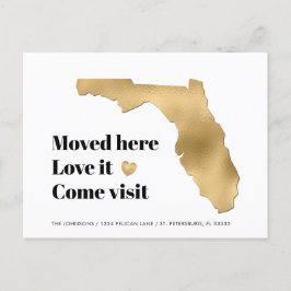 Metalen Goud Florida Kaart Nieuw Adres