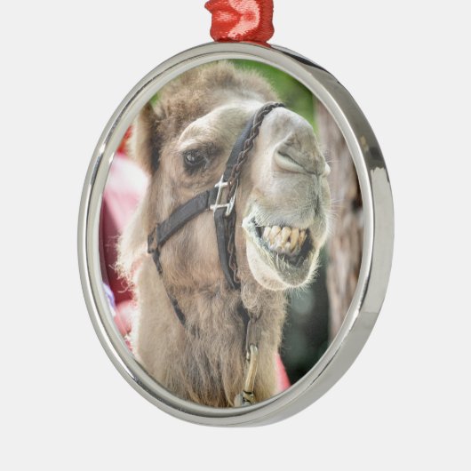  METALEN ORNAMENT (Links)