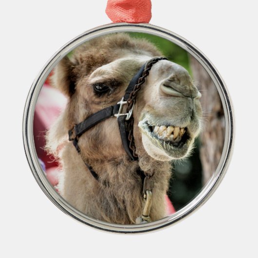  METALEN ORNAMENT (Voorkant)