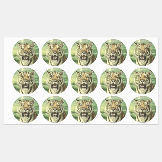 metalen tijger labels (Vel)