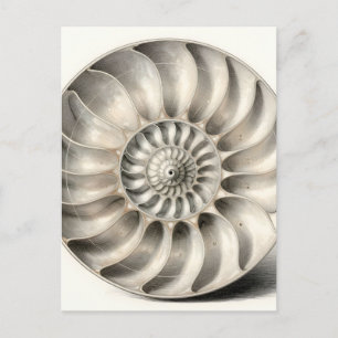 Metalische Nautilus Schelp Spiraal Geometrisch  Briefkaart