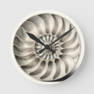 Metalische Nautilus Schelp Spiraal Geometrisch Ronde Klok