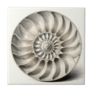 Metalische Nautilus Schelp Spiraal Geometrisch  Tegeltje