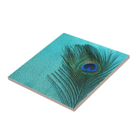 Metallic Aqua Blue Peacock Feather Tegeltje (Zijkant)