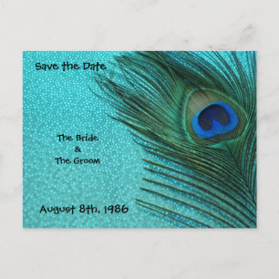 Metallic Aqua Peacock sparen het Briefkaart van de