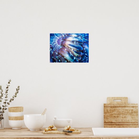 Metallisch gekleurd koraal poster (Keuken)