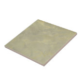 Metallisch Pleister Faux Afwerking Tegeltje (Zijkant)