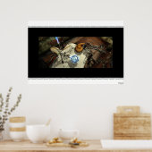 Metaltio Poster (Keuken)