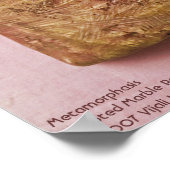 Metamorfasis/Poster Poster (Hoek)