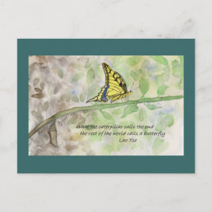 Metamorfose _1 briefkaart