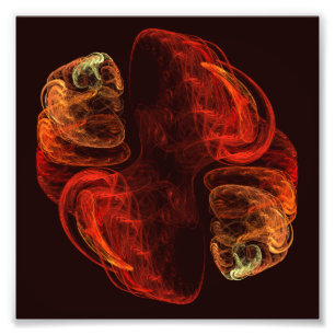 Metamorfose Abstracte foto's Foto Afdruk